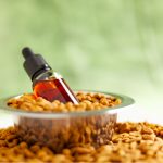 How And When To Administer CBD Pet Treats When Preparing Your Pet To Travel